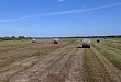 Уватские аграрии полностью закрыли потребность в сене для местных хозяйств